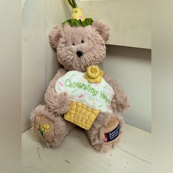 Other - Boyd bear American cancer celebration bear with tags